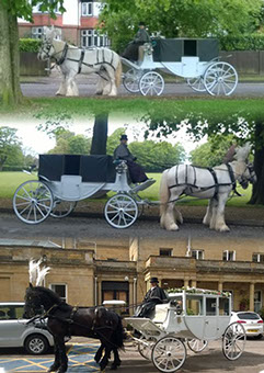 Whitehorse Farm Carriages